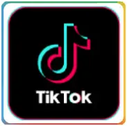 美国TikTok | 国际版TikTok账号购买 2个月左右大 全新通过电子邮件验证（电子邮件带密码）