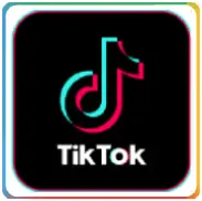 欧盟 TikTok | 海外版TikTok账号购买 全新通过电子邮件验证（电子邮件带密码）